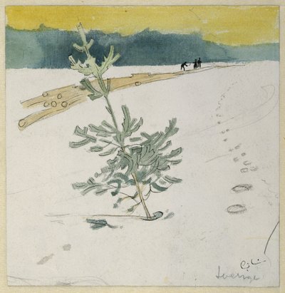 Paysage d